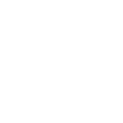 ARBOR REALTY TRUST INC logo