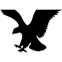 AMERN EAGLE OUTFITTERS INC logo