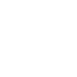 ARROW ELECTRONICS INC logo