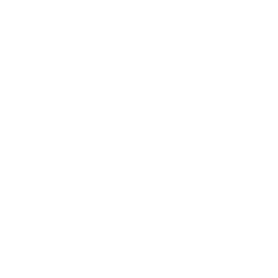 BorgWarner logo
