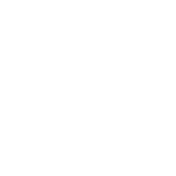 CHEESECAKE FACTORY INC logo