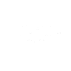 CALERES INC logo