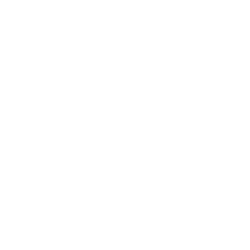 CORSAIR GAMING INC logo