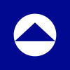 FORTUNE BRANDS INNOVATNS INC logo