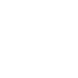 GOGO INC logo