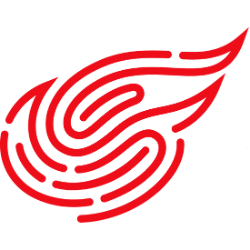 NetEase logo
