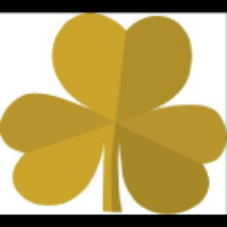 PATRICK INDUSTRIES INC logo