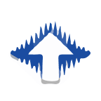 RING ENERGY INC logo