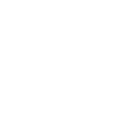 UNDER ARMOUR INC logo