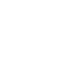 XPeng logo