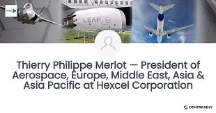 Thierry Merlot