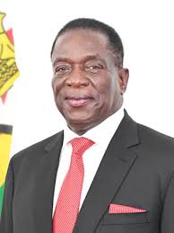 Emmerson Dambudzo